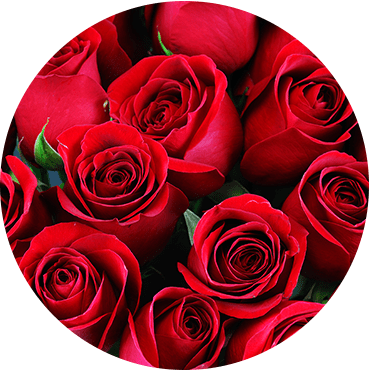 Un Parfum des Fleurs : bouquet de rose à Villié-Morgon dans le Rhône (69)